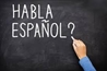 Beginning Conversational Spanish 